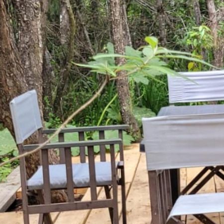 Nirebosque, Casas De Pueblo Villa Villa La Angostura Luaran gambar